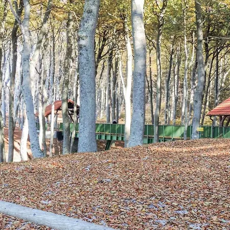 Two-bedroom Holiday In * Wytowno